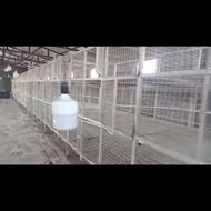 قفسه مرغ و جوجه و تجهیزات