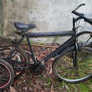 دوچرخه سالم