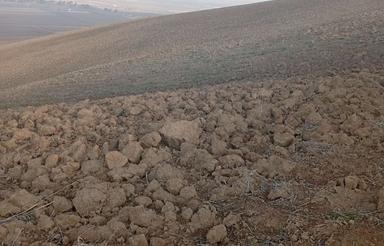 فروش زمین کشاورزی