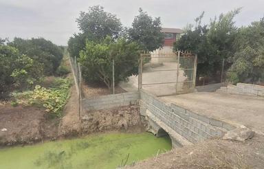 فروش باغ مرکبات و انواع سیاه ریشه