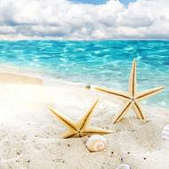 تور کیش 7 روزه اقساطی