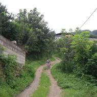 387زمین .داخل بافت .تفکیکی.شهرکی