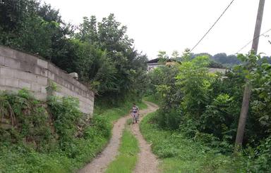 387زمین .داخل بافت .تفکیکی.شهرکی