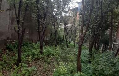 فروش زمین 100متری با امتیاز آب