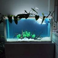 اکواریم با پایه همه وسایل