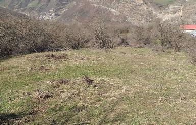 442 متر زمین ییلاقی در منطقه ییلاقی کاکرون