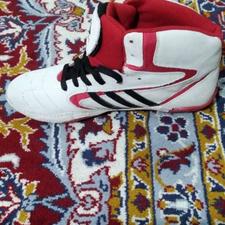 کفش کشتی آدیداس