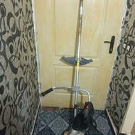 علف زن نو در حد