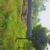 800 متر زمین مسکونی و ویلای نیمه ساز