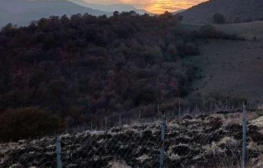 فروش زمین کشاورزی 10300 متر در تلاوک