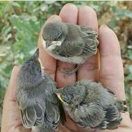 راهنمایی در مورد تاسیس موسسه نیکوکاری