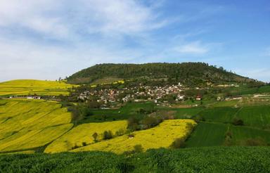 منزل مسکونی، ویلایی