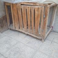 قفس کبوتر چوبی
