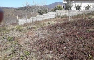 رهن بلندمدت زمین کشاورزی برای گلخانه