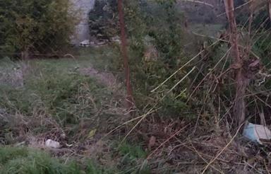 فروش زمین مسکونی 1000 متر در لیمون