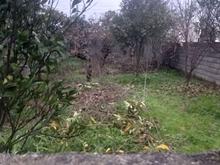 فروش زمین مسکونی 250 متر در چناربن در شیپور