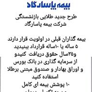 بیمه عمر طرح طلا ، در طلا سرمایه گذاری کن