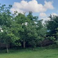 فروش زمین مسکونی 205 متر