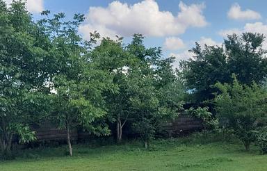 فروش زمین مسکونی 205 متر