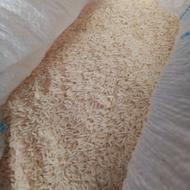 برنج هاشمی لاهیجان گیلان روستای سراجار