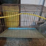 قفس پرنده کاملا سالم