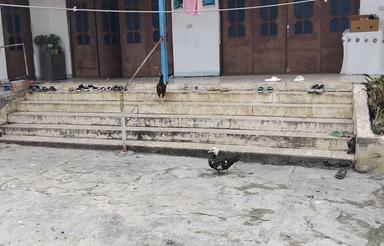 فروش خانه ویلایی وروستایی در روستای باریک آبسر (ساری)