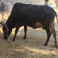 ورزش فرهنگ و فراغت