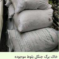 برگ بلوط کیسه ای برای سفارش در خدمتم