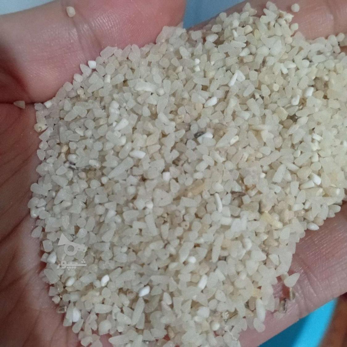 نیم دانه ریز