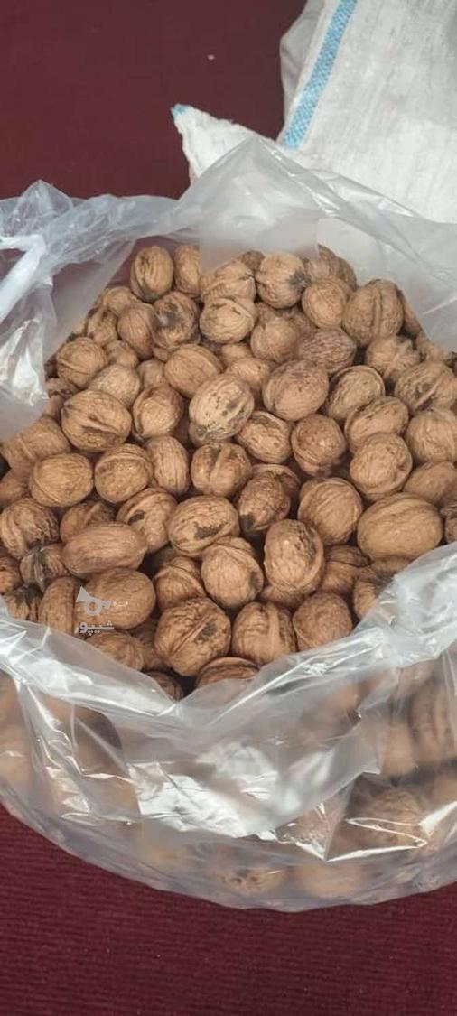 .الوبخارا،آجیل، زعفران.مویز،توتخشک.لواشک،ربگوجه،بررگه.خشکبار