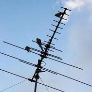 نصب آنتن گردون و ثابت