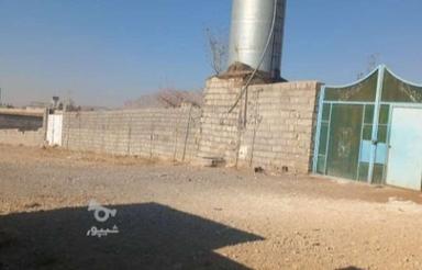 زمین 250 متری