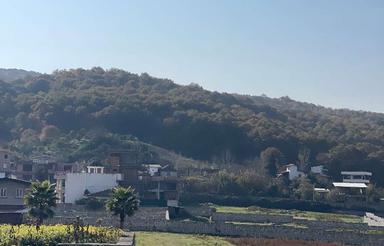 300 متری سند دار شهرستان ساری روستای سنگ بن.و سلیم شیخ