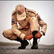 جابجایی و انتقال سرباز از سنندج به تهران