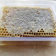 عسل واقعی ارگانیک خلخال