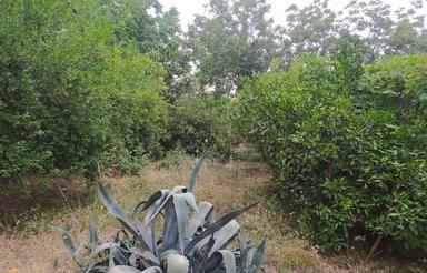 324 زمین مسکونی سند دار داخل بافت