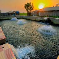 کارگر ساده برای نگهبان استخر