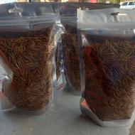 میلورم با کیفیت