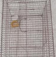 قفس پرنده ....