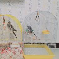 قفس فروشی 2تاس پول لازمم