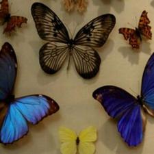 نظافت دفتر کار شما(آگهی شخصیه)