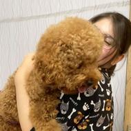 گرومینگ و اصلاح حیوانات