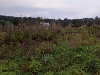 زمین 125متری در هزار جریب.رودبار