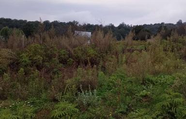 زمین 125متری در هزار جریب.رودبار