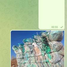 خرید تسمه پت سبز 25