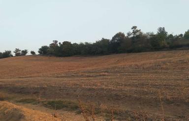 یک قطعه زمین کشاورزی باویوی زیبا