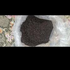 چای ایرانی اصیل از باغات گیلان