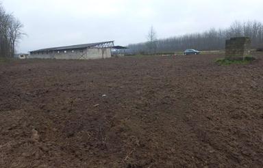 زمین باغی7500متر ،سند تک برگ،