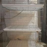 قفس کفتر (کبوتر)