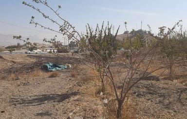 فروش زمین فعلا کشاورزی ورودی اصلی شهر برجاده